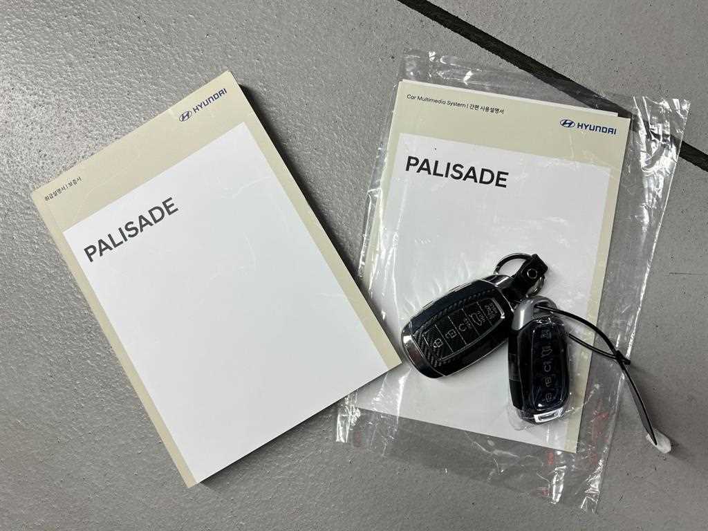 HYUNDAI Palisade - Vista 6