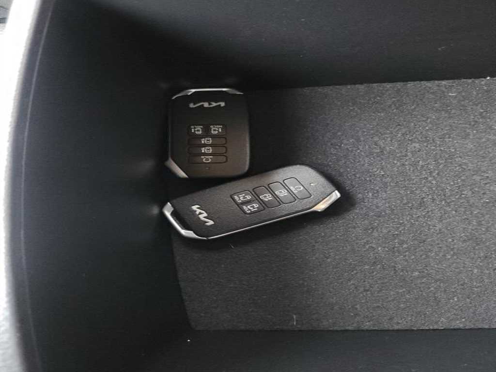 KIA Carnival - Vista 4