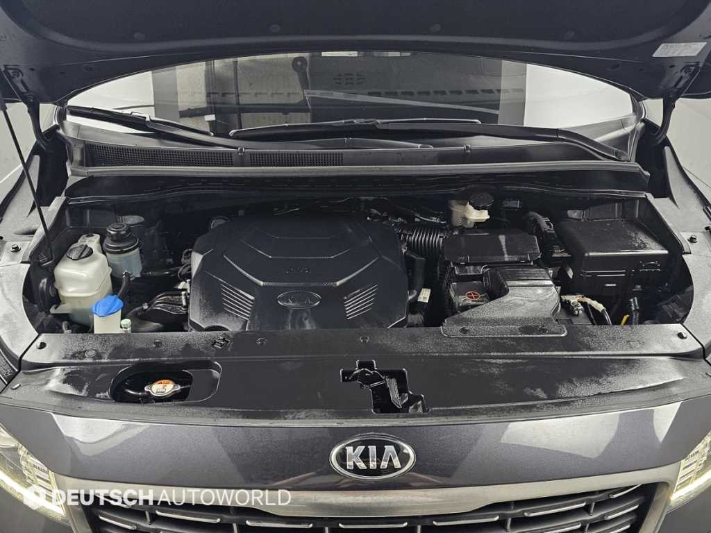 KIA Carnival - Vista 6