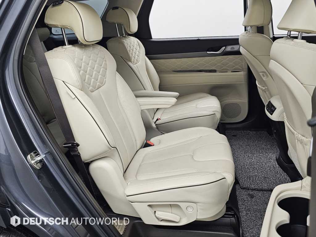 HYUNDAI Palisade - Vista 12