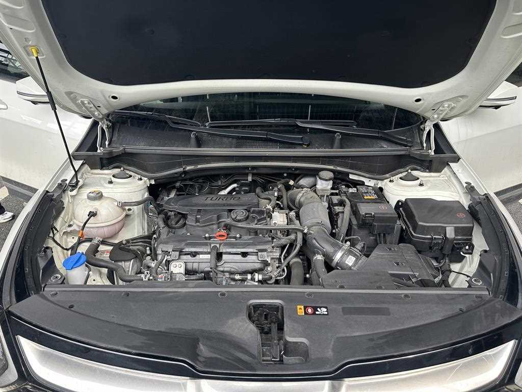 KIA Sportage 2023 Blanco - Importación desde Corea - HF Imports Iquique - Foto 13