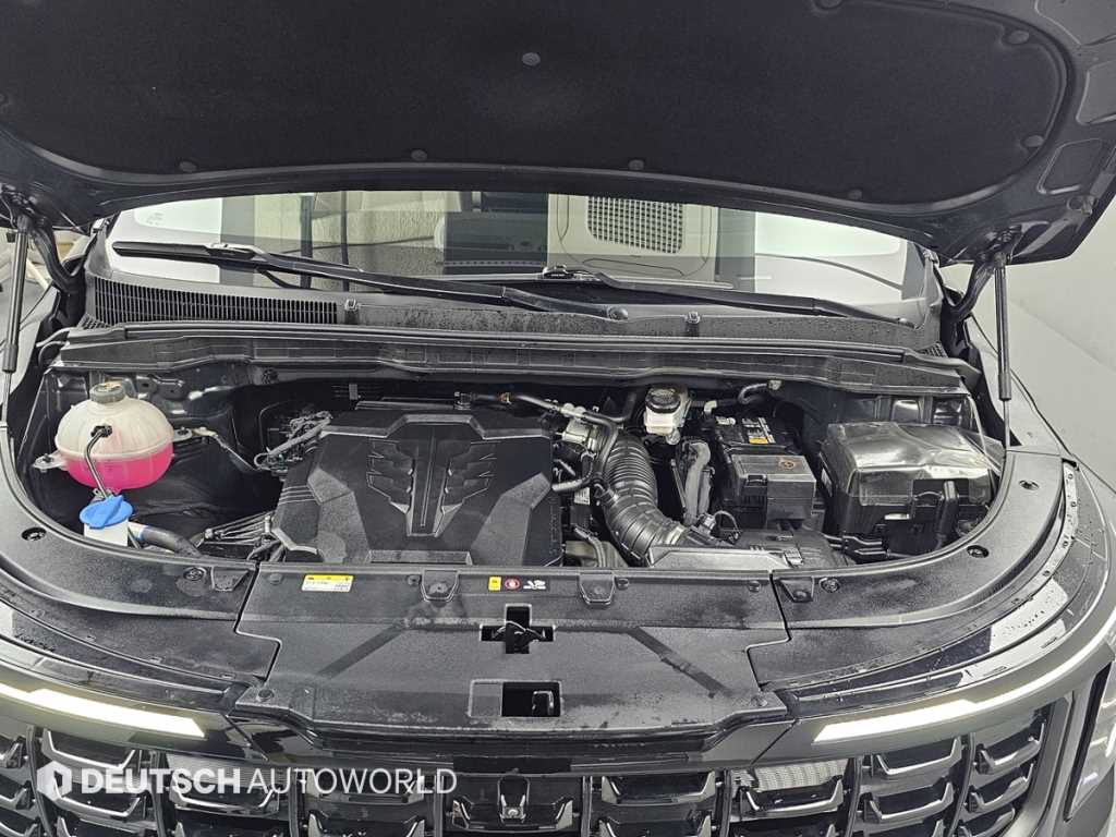 KIA Carnival - Vista 6