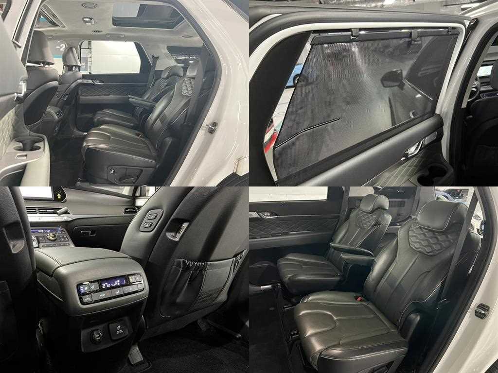 HYUNDAI Palisade - Vista 9
