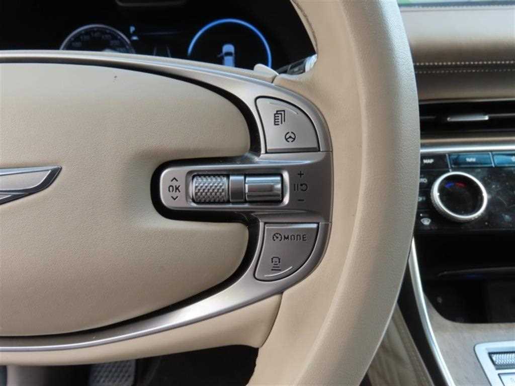 Genesis GV80 - Vista 11