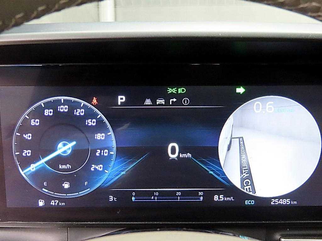 KIA Carnival - Vista 8