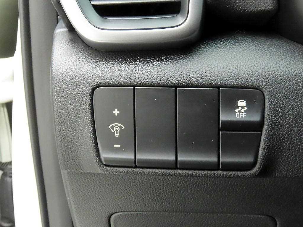 KIA Sportage - Vista 12