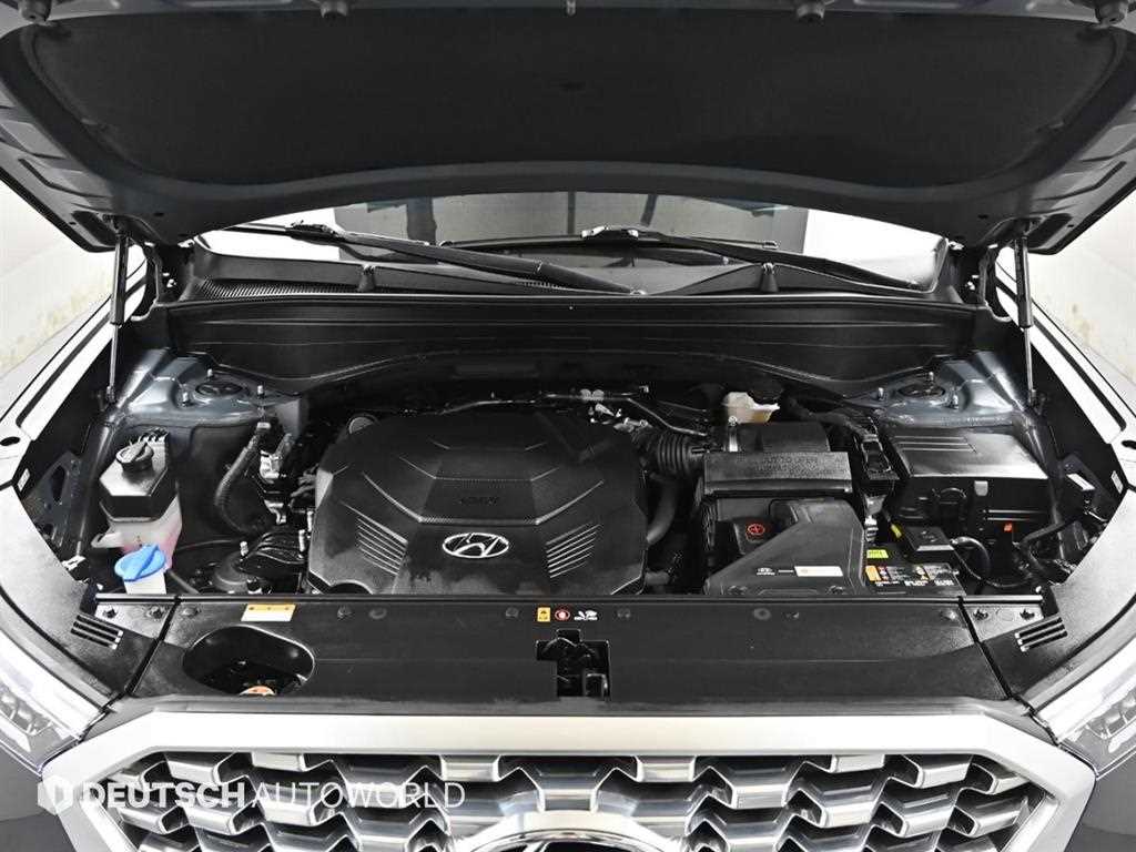 HYUNDAI Palisade - Vista 6
