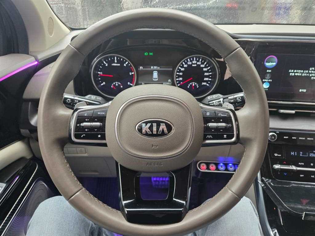KIA Carnival - Vista 3