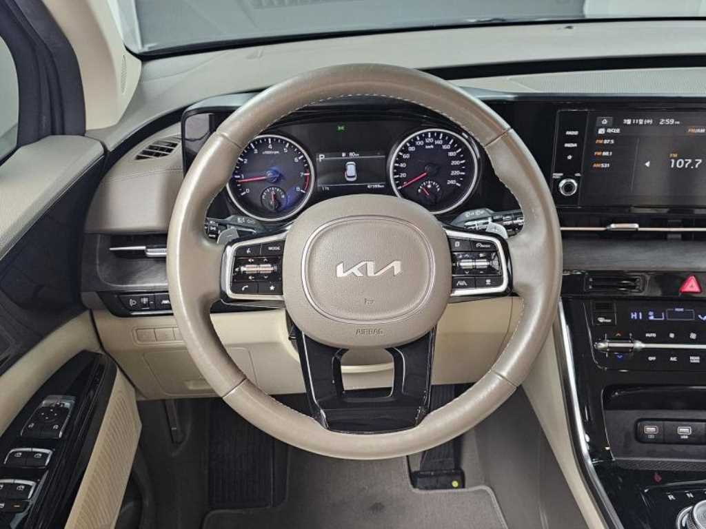 KIA Carnival - Vista 11