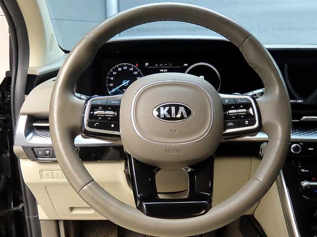 KIA Carnival - Vista 9