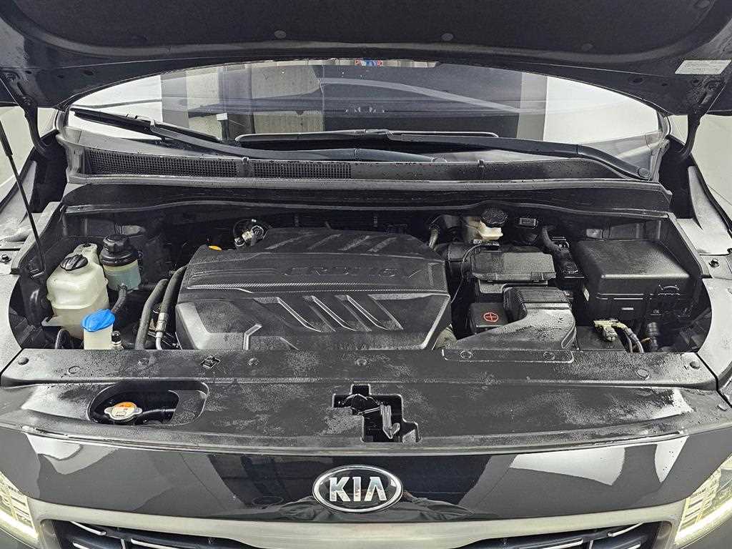 KIA Carnival - Vista 6
