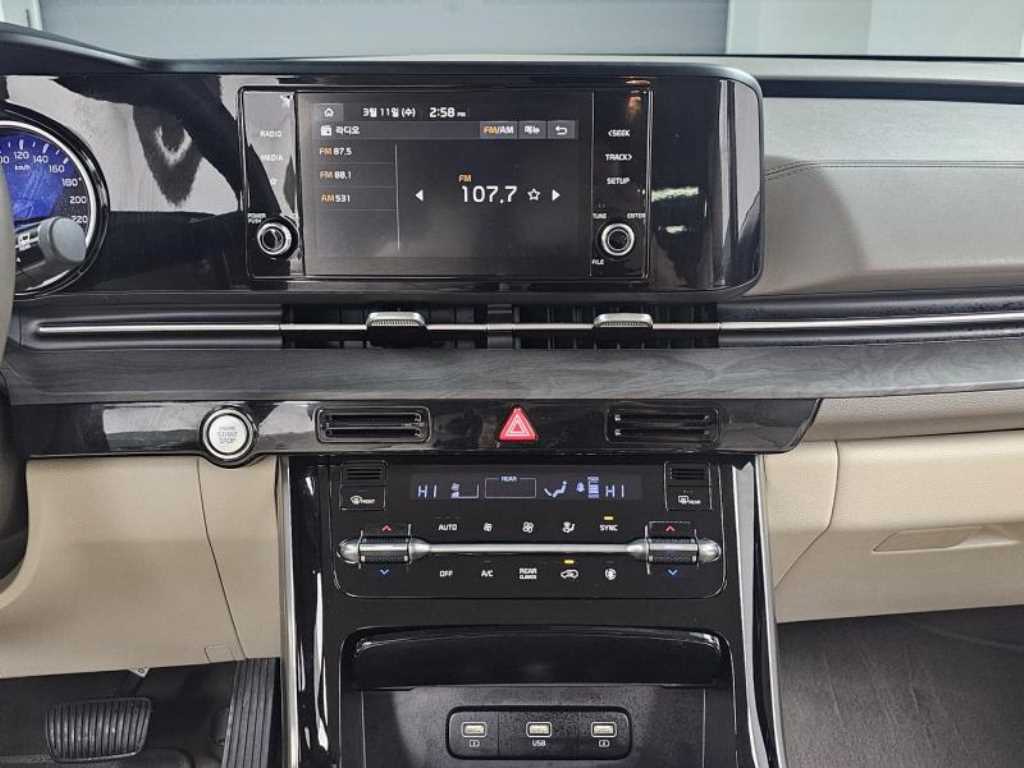 KIA Carnival - Vista 12