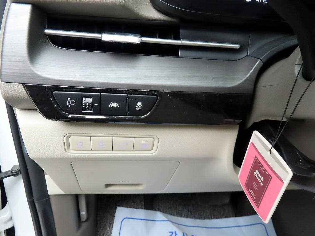KIA Carnival - Vista 12
