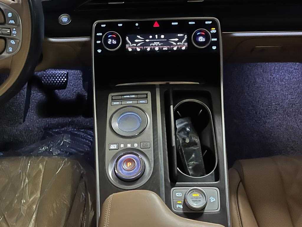 Genesis GV80 - Vista 12