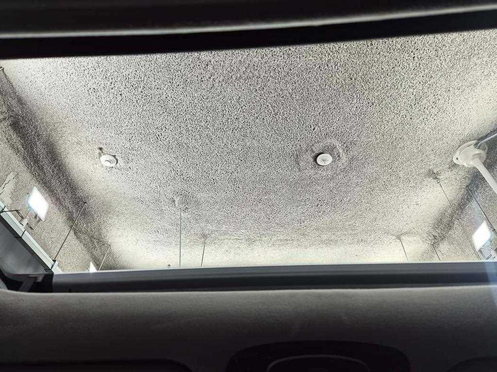 HYUNDAI Palisade - Vista 6