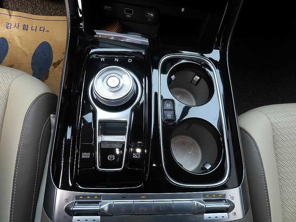 KIA Carnival - Vista 10