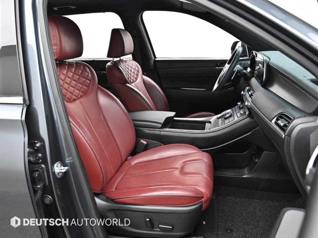 HYUNDAI Palisade - Vista 10