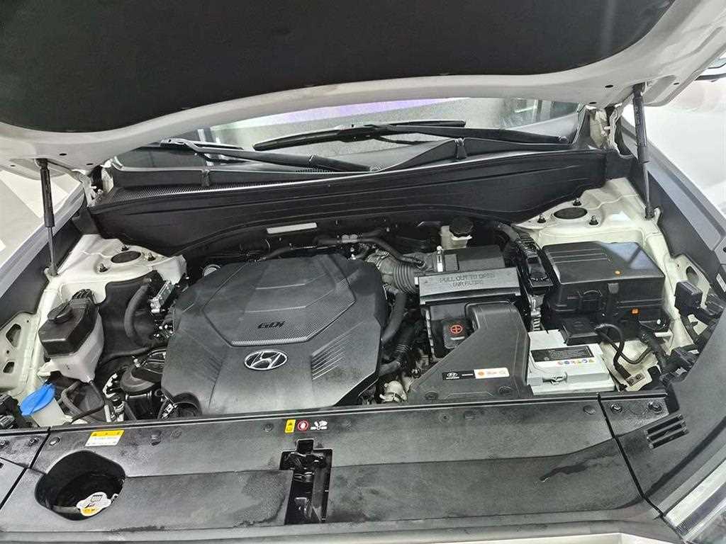 HYUNDAI Palisade - Vista 9