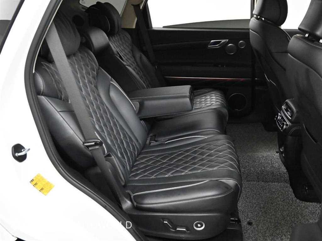 Genesis GV80 - Vista 12