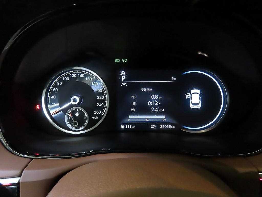 Genesis GV70 - Vista 10