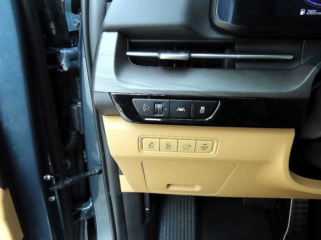 KIA Carnival - Vista 11