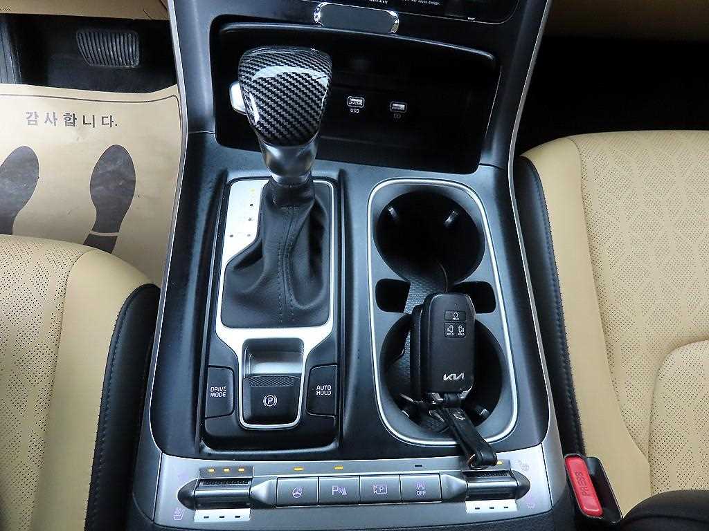 KIA Carnival - Vista 10