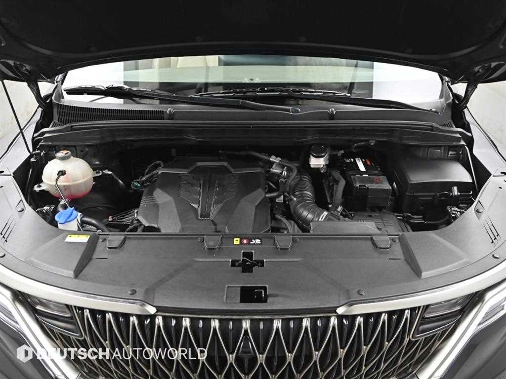 KIA Carnival - Vista 6