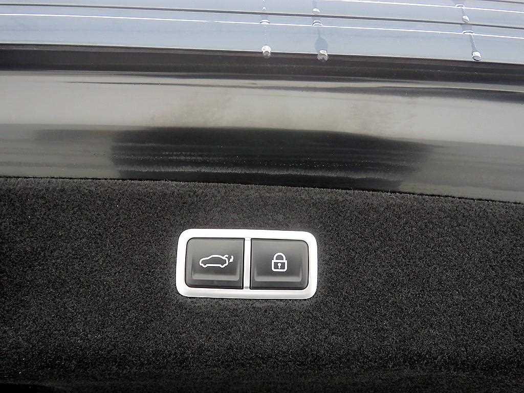 Genesis G90 - Vista 5