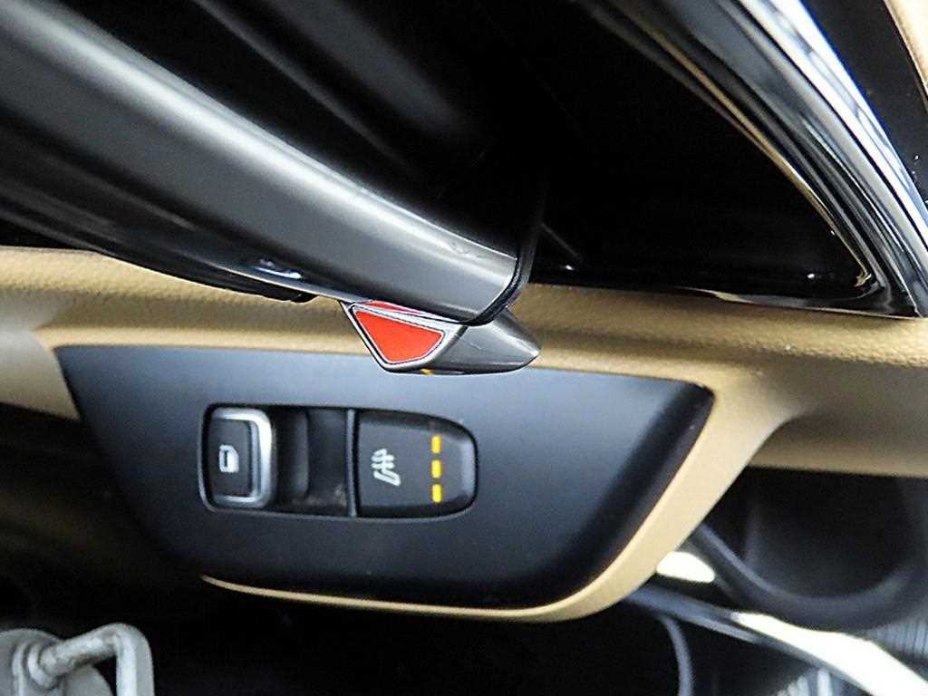 KIA Carnival - Vista 12