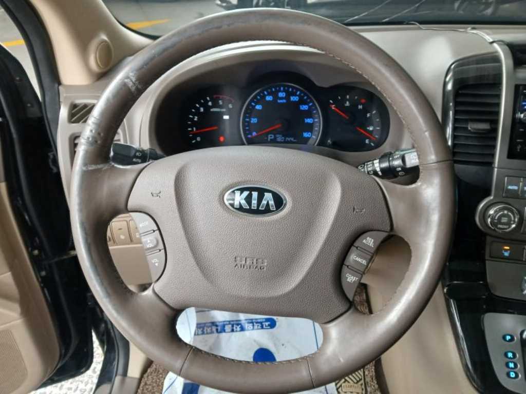 KIA Carnival - Vista 8