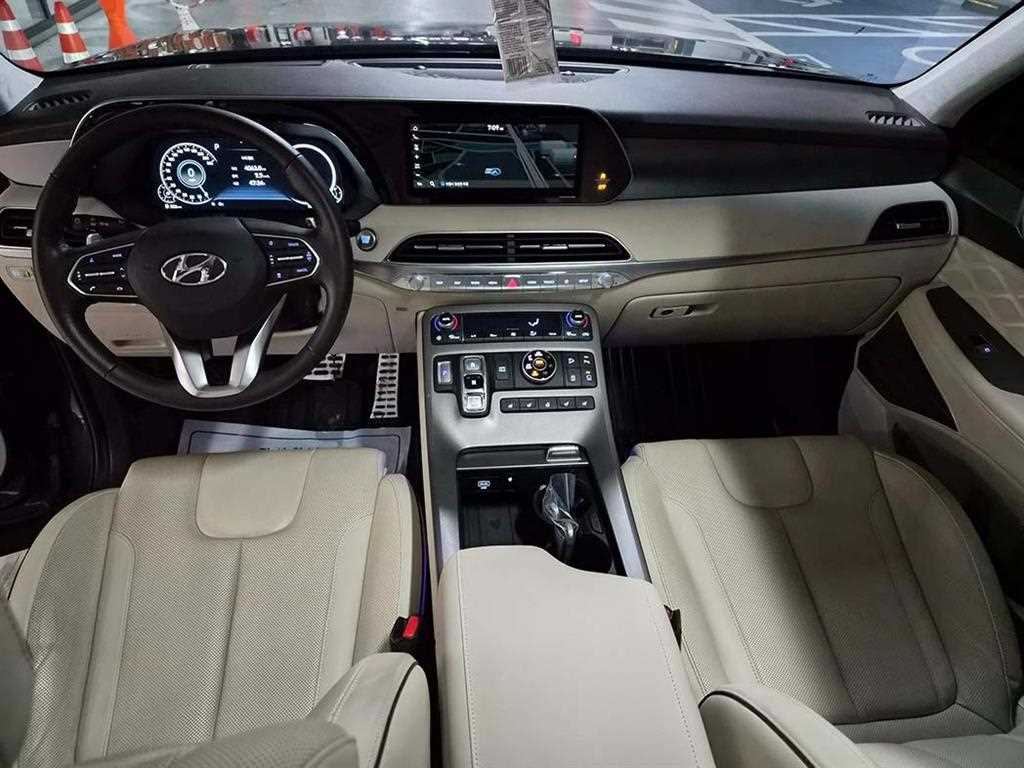 HYUNDAI Palisade - Vista 10