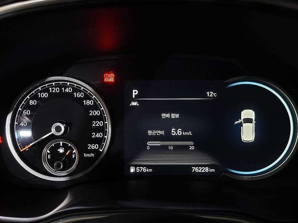 Genesis GV80 - Vista 10