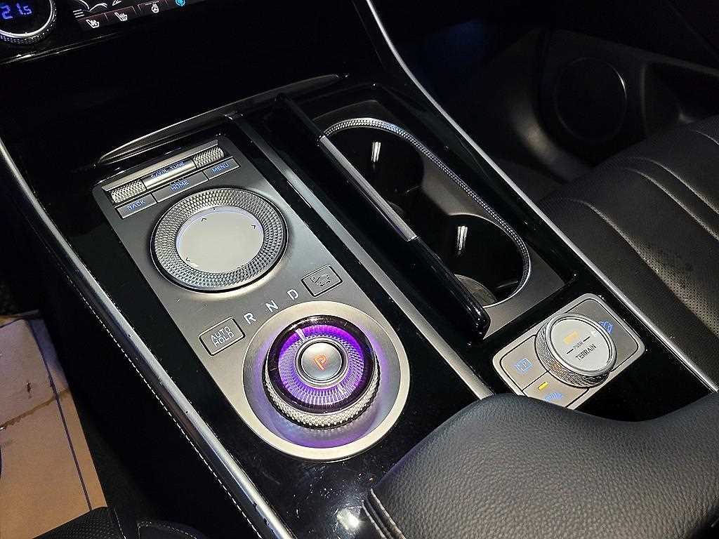 Genesis GV80 - Vista 12