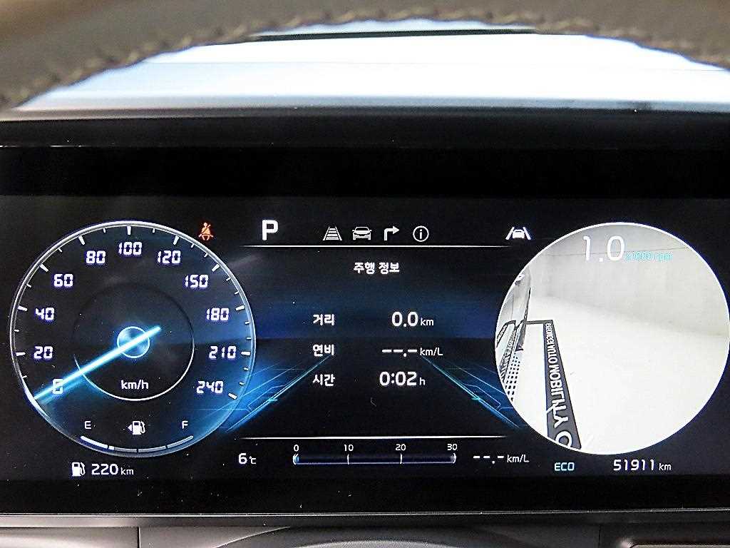 KIA Carnival - Vista 8