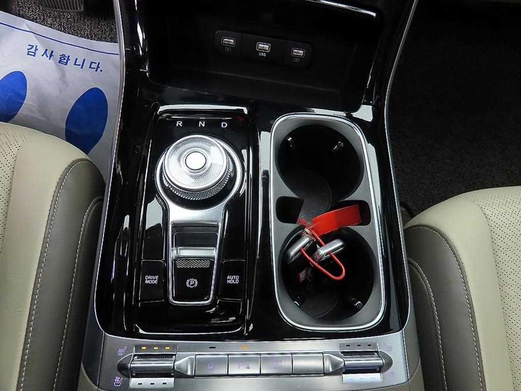 KIA Carnival - Vista 10