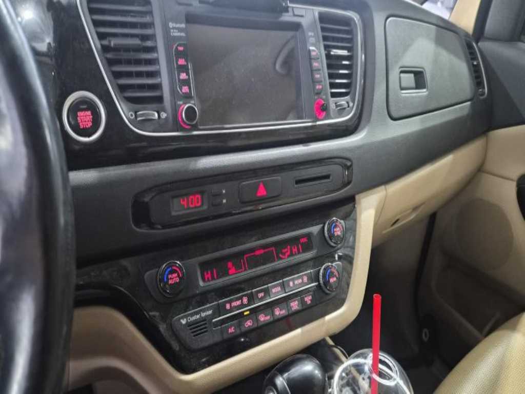 KIA Carnival - Vista 5