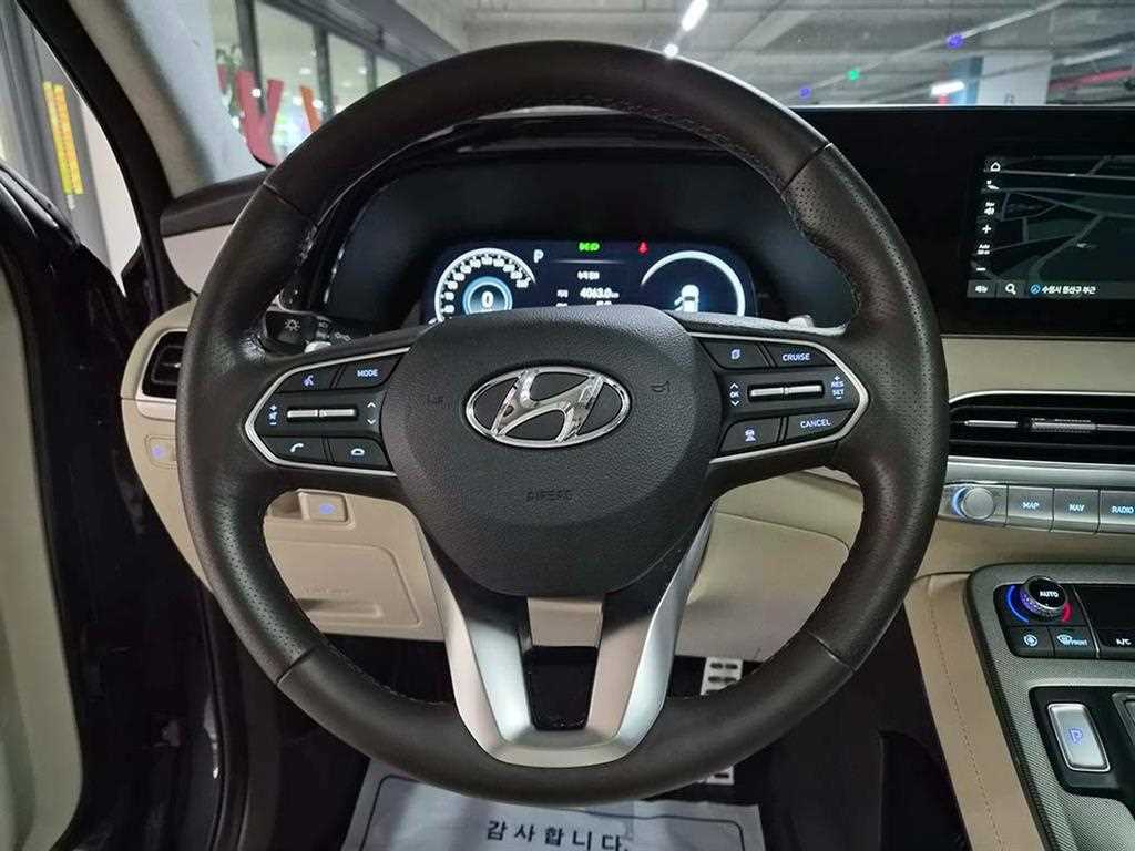 HYUNDAI Palisade - Vista 8