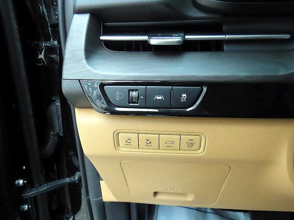 KIA Carnival - Vista 12