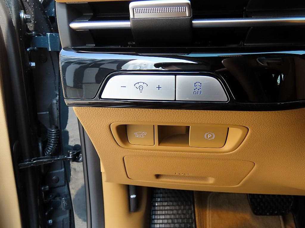 Genesis G80 - Vista 12