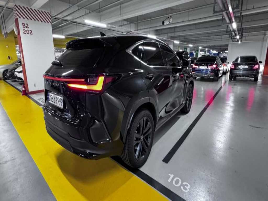 Lexus NX - Vista 8
