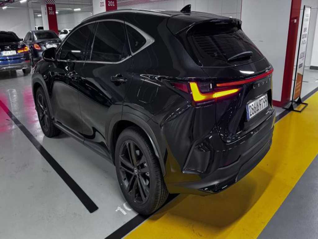 Lexus NX - Vista 5