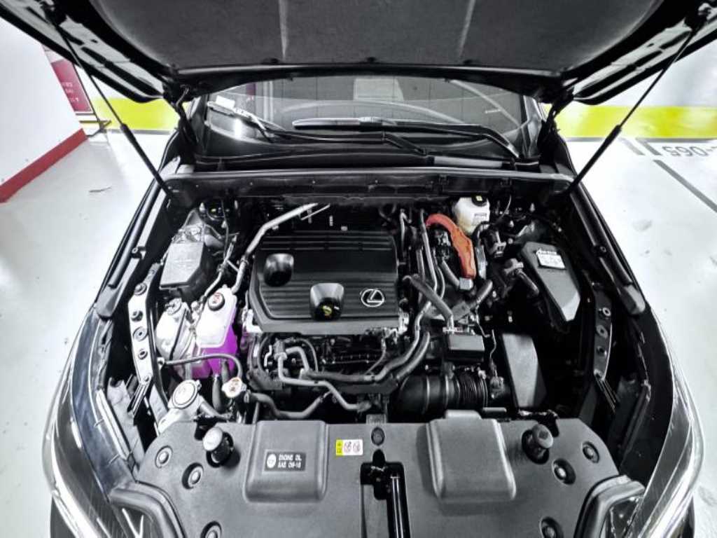 Lexus NX 2025 Negro - Importación desde Corea - HF Imports Iquique - Foto 19