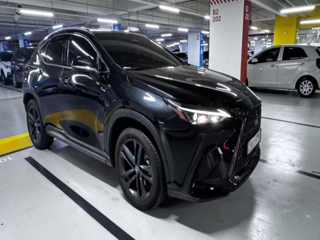 Lexus NX - Vista 10