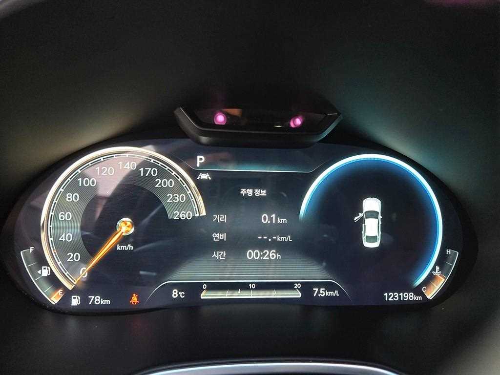 Genesis G80 - Vista 8