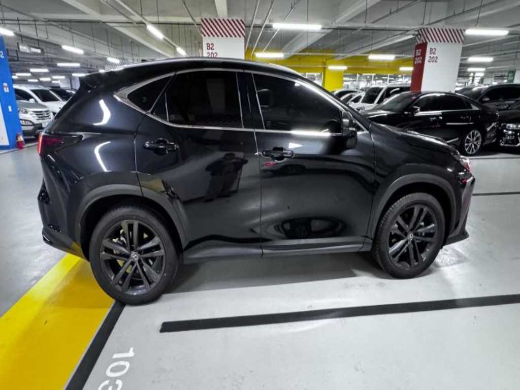 Lexus NX - Vista 9