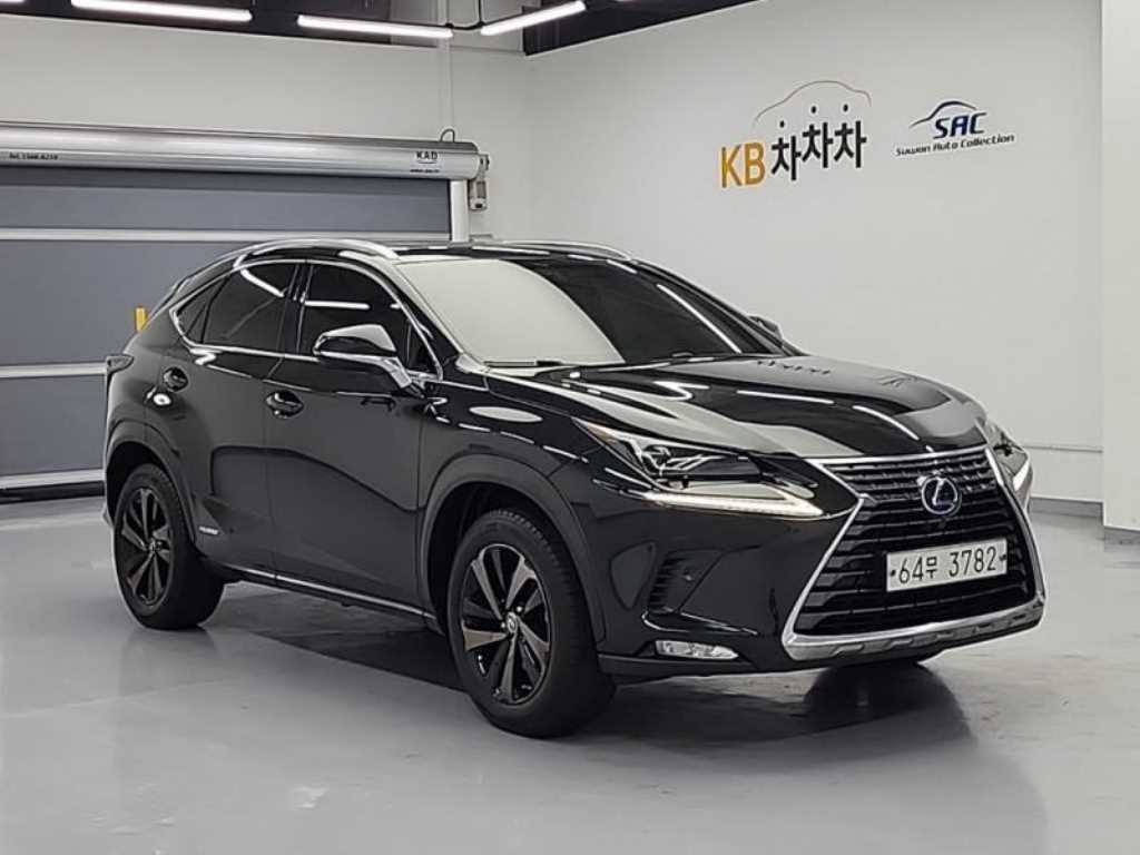 Lexus NX - Vista 4