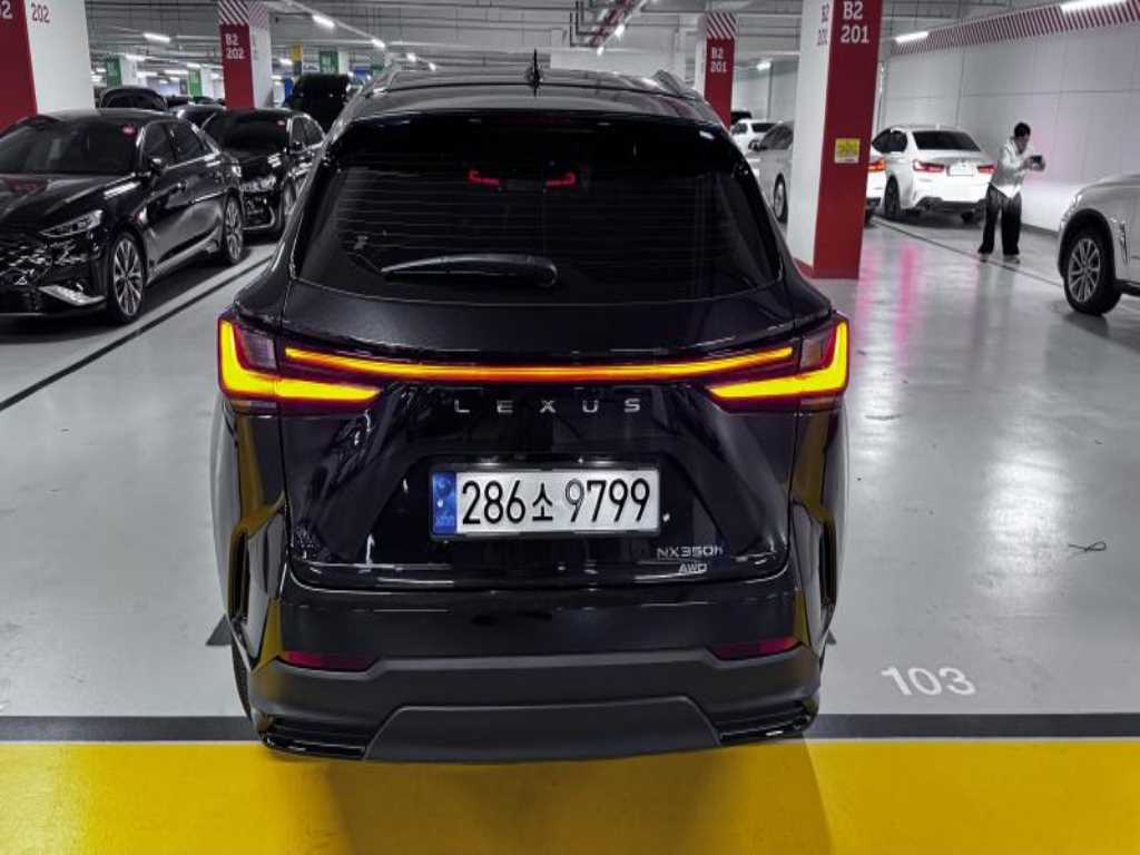 Lexus NX - Vista 6
