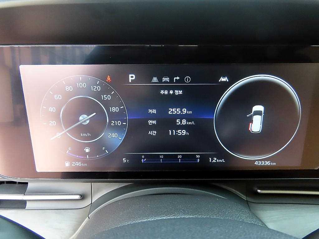 KIA Carnival - Vista 10