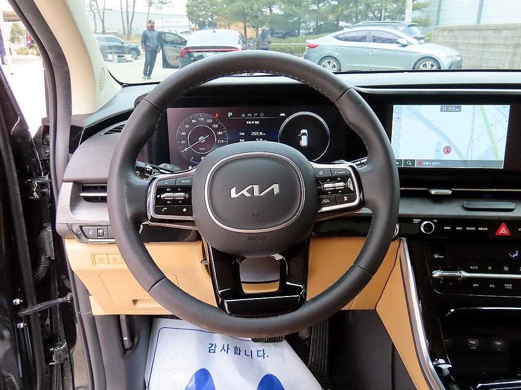 KIA Carnival - Vista 9