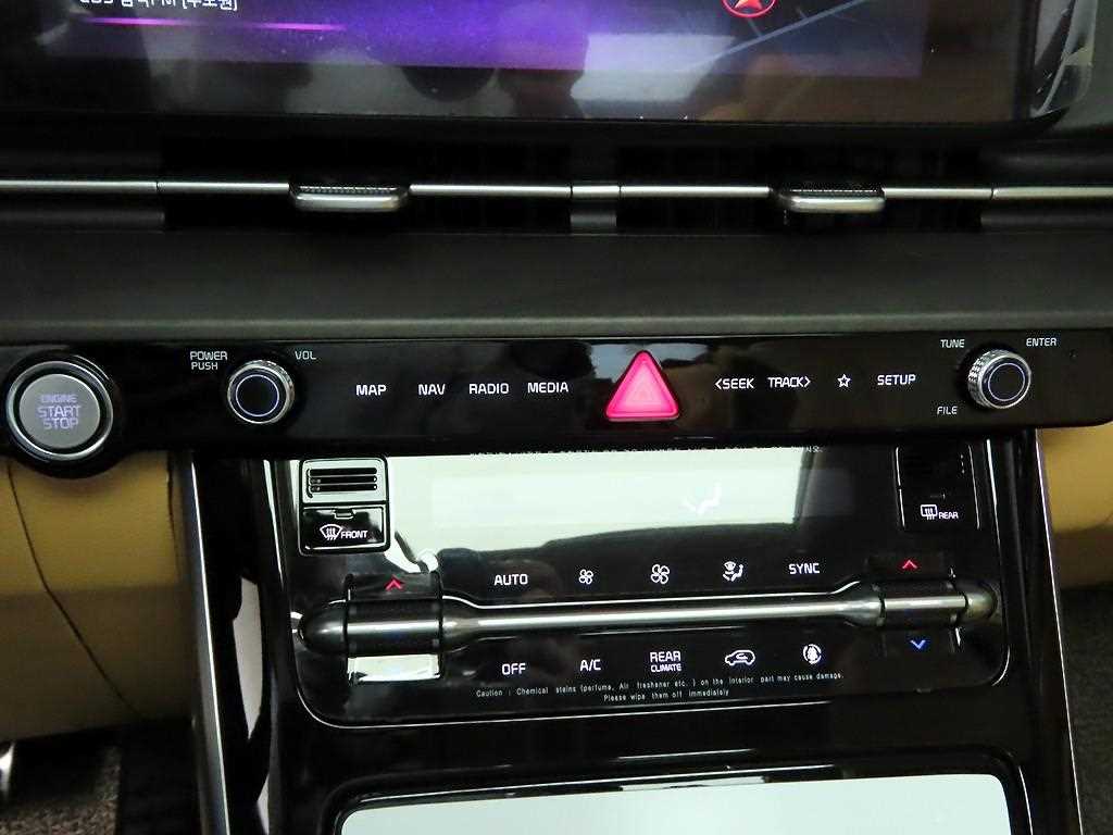 KIA Carnival - Vista 9